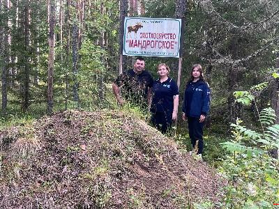 Обследование охотугодий в рамках месячника "Летний вепрь" и "Стоп грипп"