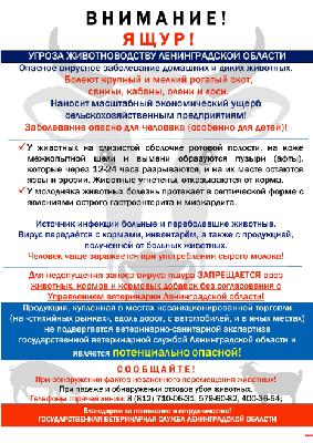 Ящур: как уберечь животных?