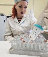 Проведение плановых исследований крови КРС на бруцеллез