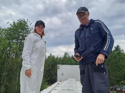 Клинический осмотр рыбы перед транспортировкой